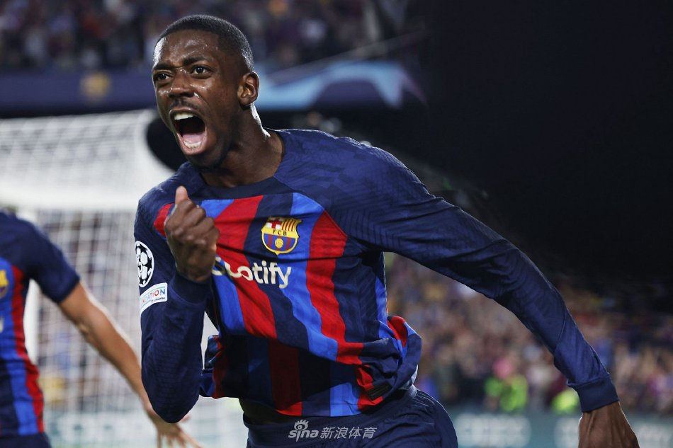 迷的期待 迷的期待